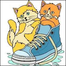 La dame qui a adopté cinq chats devrait changer deux de ces chats par d'autres animaux :