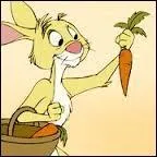 "Avoir une mémoire de lièvre". Est-ce que cette expression existe ? Si oui cochez tout simplement la case "oui", sinon, cochez la case "non" et ce que vous croyez être la bonne réponse.