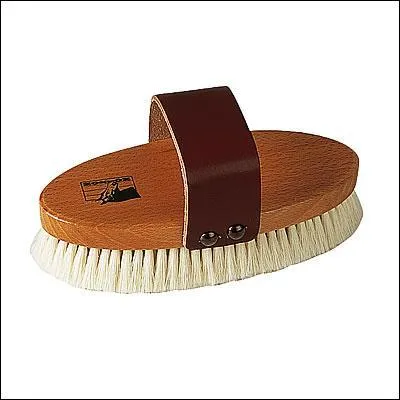 Quel est cet instrument de pansage ?