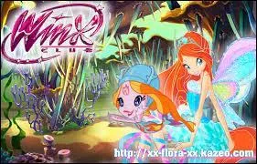 Quelle est cette transformation ?