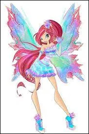 Comment s'appelle cette transformation ?