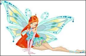 Quelle est cette transformation ?