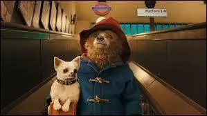 Pourquoi Paddington a-t-il un chien à ce moment ?