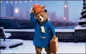 Pourquoi Paddington se nomme-t-il ainsi ?