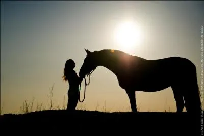 L'apprentissage - Combien de périodes essentielles comporte la formation du cheval ?