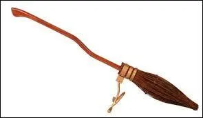 Pourquoi le professeur McGonagall prend-elle le nouveau balai de Harry ? (tome 3)