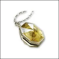 Qui a volé le médaillon à Voldemort ? (tome 6)