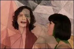Bon, il faut attendre la moitié de la chanson pour entendre sa voix mais savez-vous qui chante "Somebody That I Used To Know" en duo avec Gotye ?