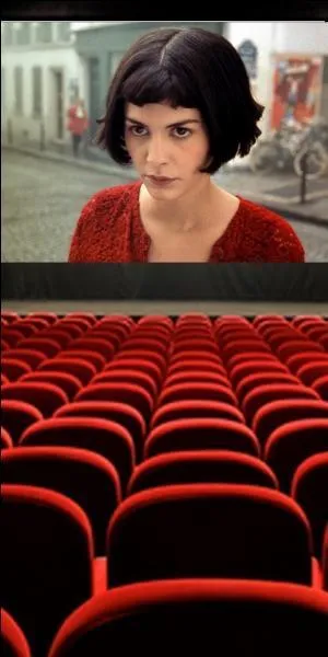 Dans le film "Le Fabuleux destin d'Am&eacute;lie Poulain", Isabelle Nanty joue le r&ocirc;le d'une buraliste.
