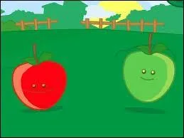 De quelles couleurs sont les tapis dans "Pomme de reinette et pomme d'api" ?