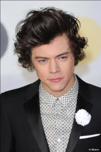 En quelle année est né Harry Styles ?
