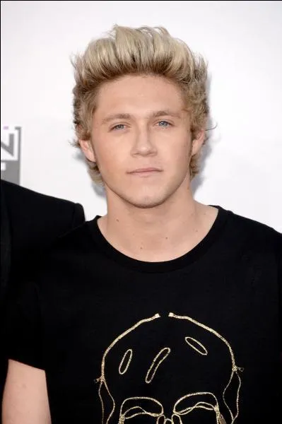 De quel instrument Niall Horan joue-t-il ?