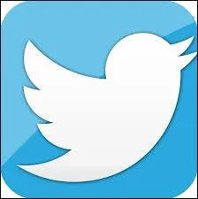 D'ailleurs, c'est le logo d'un site célèbre :