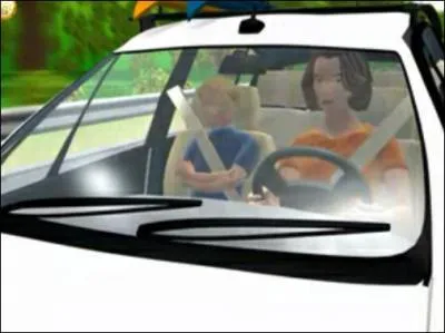 La ceinture de sécurité :