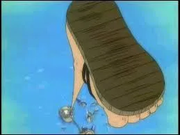 Que fait Luffy à la fin de l'épisode ?