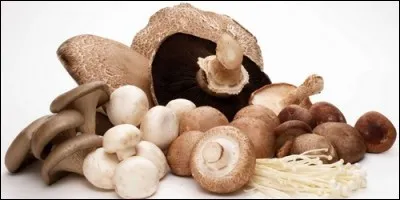 Quand on cuisine les champignons, on les :