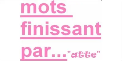 Lequel de ces mots finissant par le son [-atte] n'existe pas ?