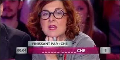 Ces mots finissent par le son [-iche]. Lequel n'existe pas ?