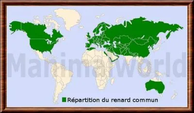 Le renard commun vit-il en Afrique ?