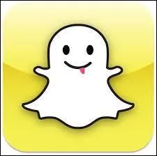 Quel est ce réseau social ?