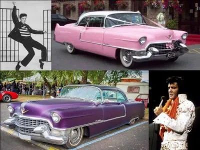 Ce « roi » a acheté une magnifique voiture, une de ces monstrueuses voitures américaines des années 50. Après l'avoir fait repeindre en rose, il l'offrit à sa mère. Il vous faudra monter dans cette voiture avec vos « chaussures bleues de la Suède », mais sans chanter le « rock des prisons » même si c'est sur « votre chemin ».
Quelle est cette voiture ?
Quelle est cette personne ?