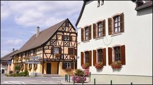Pour commencer, je vous emmène à Blodelsheim, village situé en région ...