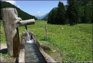 Nourriture - Faut-il mieux abreuver :