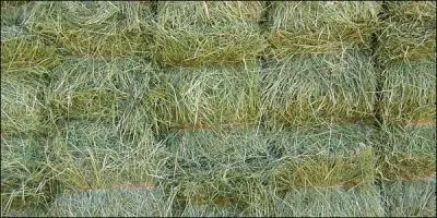 Nourriture - Faut-il distribuer le foin :