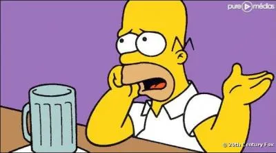 Quel est le nom de la bière que Homer boit ?