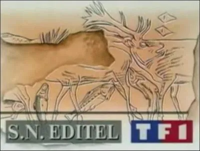 Ceux qui s'endorment souvent devant la télévision se sont déjà réveillés en sursaut en entendant ce générique... Quelle composition (déjà citée dans ce quiz) est déconseillée aux personnes cardiaques ?