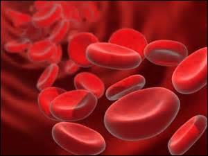 Quelle est la particularité des globules rouges ?