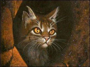 Passons à nos chers lieutenants, comment s'appelle celui au pelage sombre tacheté et aux yeux ambrés ?