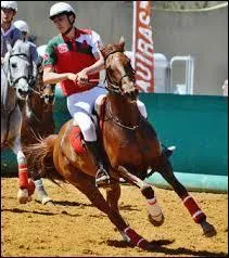 Pour quelle discipline est cette tenue ?