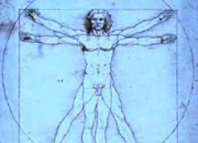 Quiz 59. Connaissez-vous votre corps  100% (4/5)