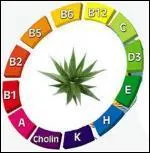 Si vous manquez de vitamine D, vous risquez à terme d'abîmer vos os. 
Quel est l'autre nom de la vitamine D ?