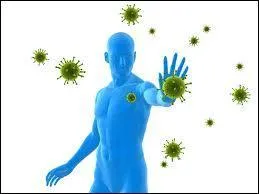 Si vous avez eu la grippe, il y a de fortes chances que votre immunité ait secrété des immunoglobulines pour vous défendre. 
Sous quel nom sont plus connues les immunoglobulines ?