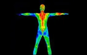 Quel organe est hypertrophié lorsque l'on a un goitre ?