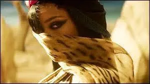 De quel clip de Rihanna est issue cette image ?