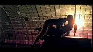 De quel clip de Rihanna est issue cette image ?