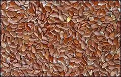 Le pain bûcheron est réalisé avec différents types de farines : blé et seigle. Pour l'enrichir on y ajoute des graines. 
Quelle est celle présentée en photo ?