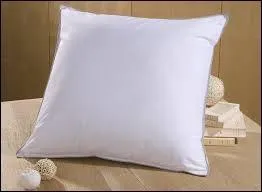 Indispensable pour le cerveau, on en a besoin au moins huit heures par jour. Quel est mon passe-temps préféré ?