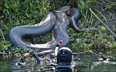 Jennifer Lopez, Jon Voigt et Ice Cube !