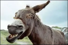 Catherine Deneuve et Jean Marais !