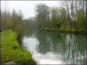 Ce petit fleuve français, se situe dans le Pas-de-Calais et mesure 100 km, il prend sa source à Gouy-en-Ternois :
