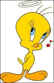 Les panaris sont des canaris qui s'adaptent à tous les climats.