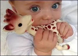 Les girafes n'ont pas de cordes vocales.