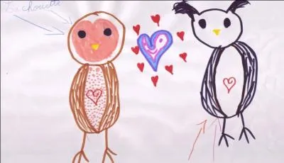 Quel est le rôle des aigrettes chez le hibou ? Cochez la mauvaise proposition.