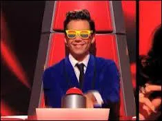 Quelle(s) saison(s) de The Voice a-t-il faites ?