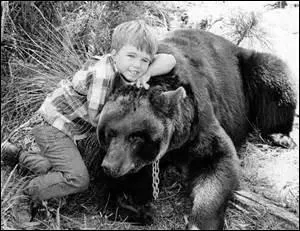 Série américaine de 56 épisodes. 
Avec qui Mark vit-il depuis la disparition brutale de ses parents ?