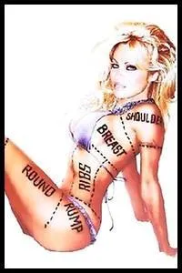 De quelle association Pamela Anderson est-elle l'une des figures de proue ?